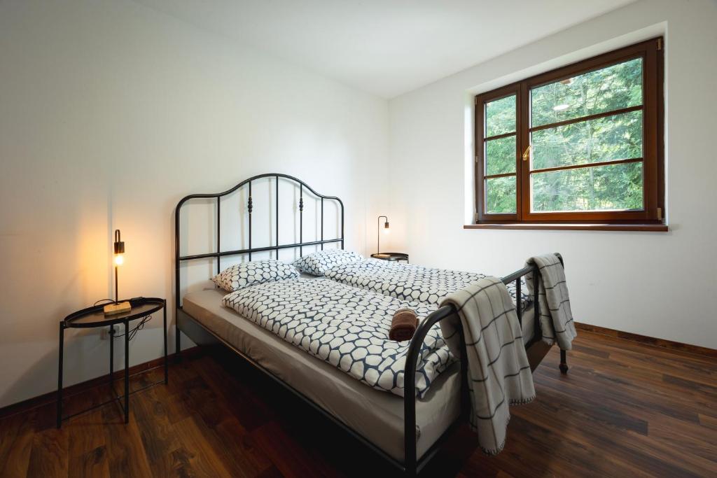 a bed in a room with a window and a bed sidx sidx sidx at Apartmány Depandace Anička in Deštné v Orlických horách