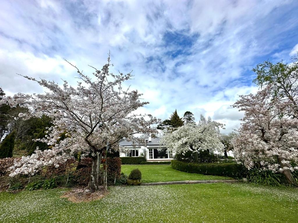 a house with a flowering tree in the yard at Whiteacres in Invercargill