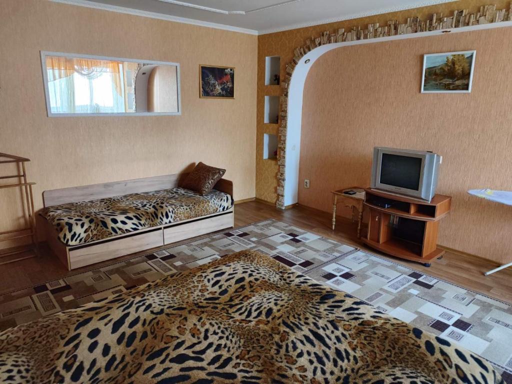 a living room with a bed and a television at Апартаменти на Вул Перемоги 8 дрiб 3 in Khmelnytskyi