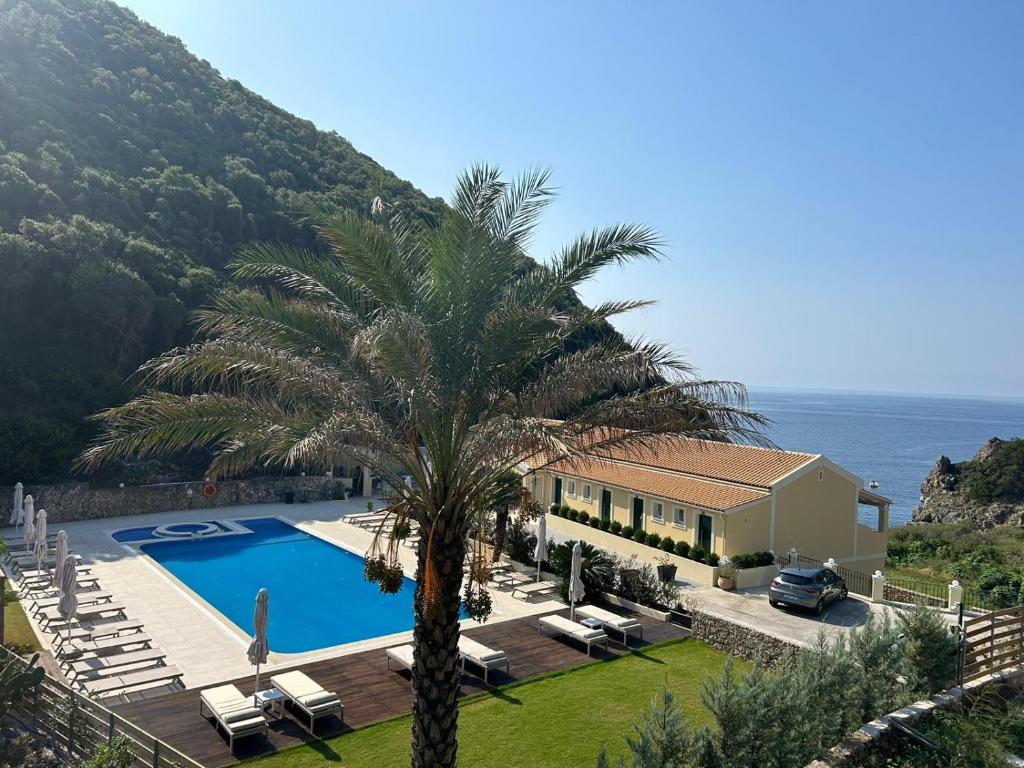 una casa con una palma e una piscina di Corfu valley view a Paleokastritsa