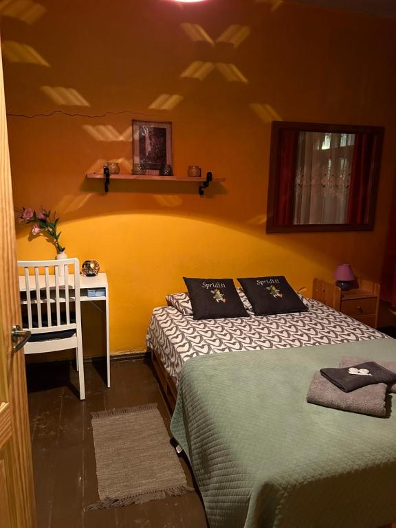 的住宿－Lauku māja Sprīdīši，一间卧室配有一张床和一张书桌,配有一张四柱床