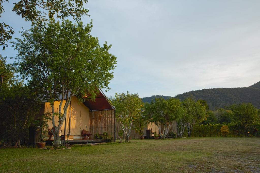 NUYU Khaoyai - Tenda Superiore Con Vista Da Giardino