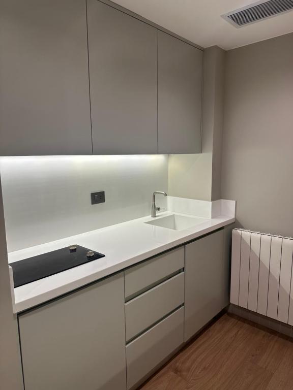 Kuhinja oz. manjša kuhinja v nastanitvi Oriana Villa Guest House