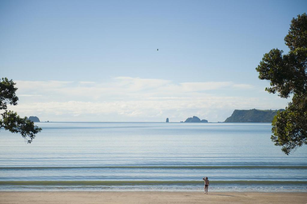 Beachfront Resort - Resim 15