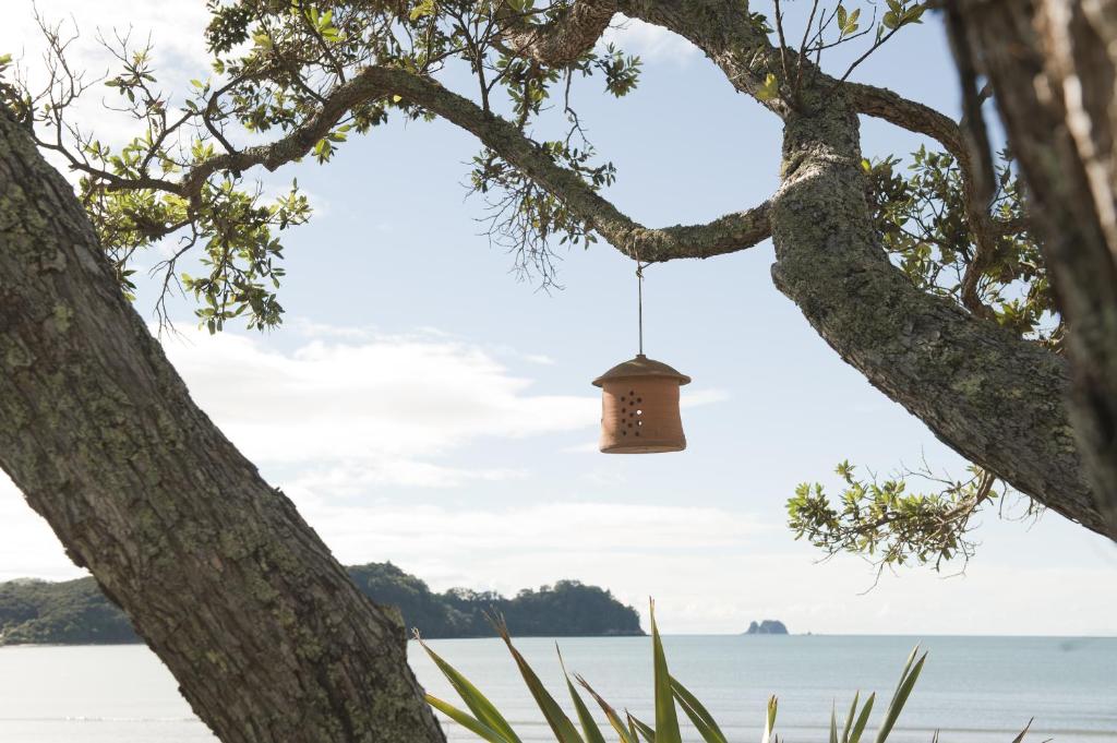 Beachfront Resort - Resim 16