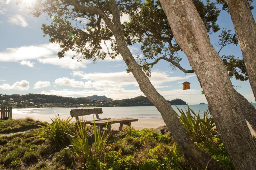 Beachfront Resort - Resim 17