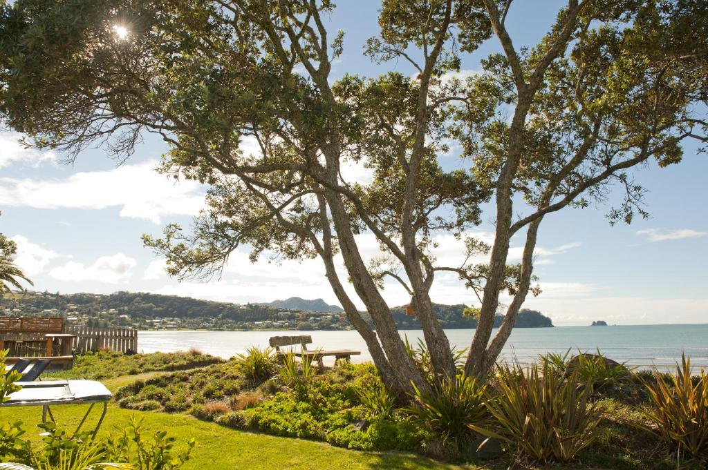 Beachfront Resort - Resim 25