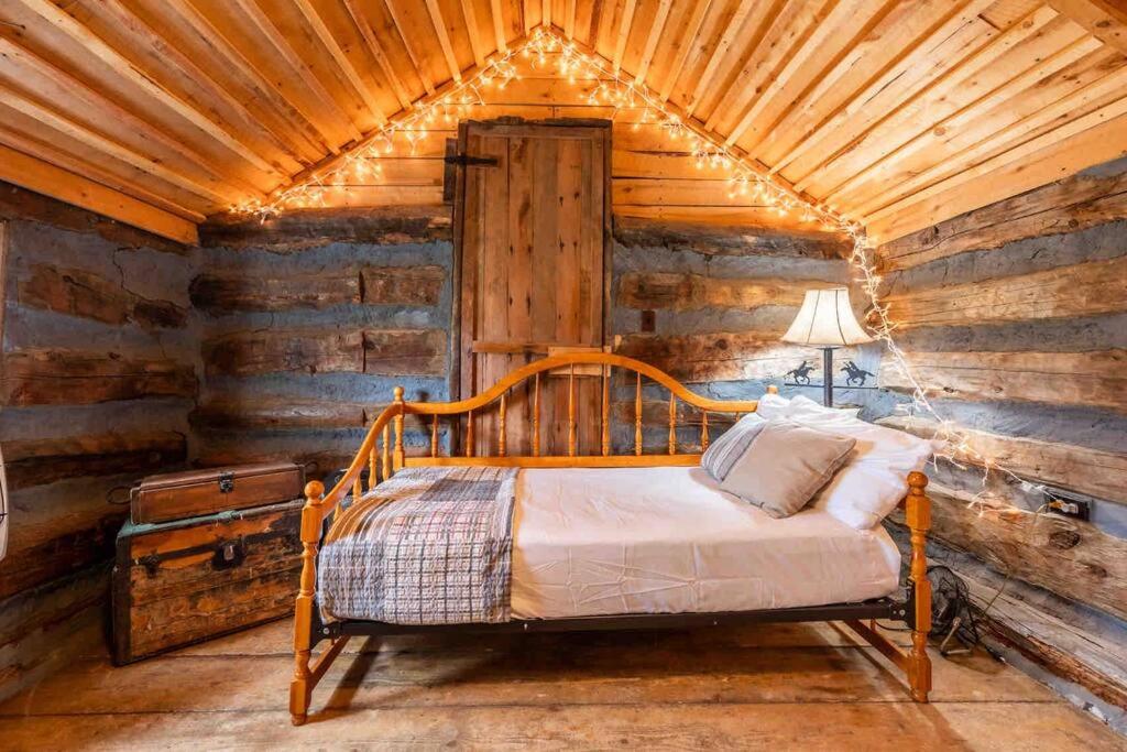 Lake George的住宿－New! Charming Cabin in Colorado National Forest，小木屋内一间卧室,配有一张床