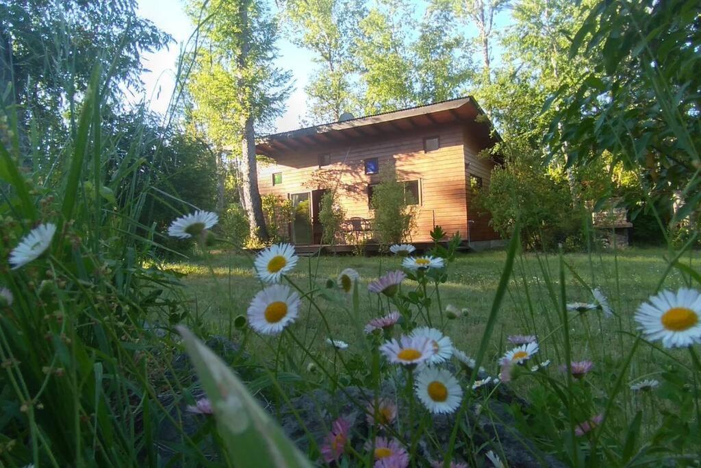 Jardín al aire libre en Cabañas Pucon Location