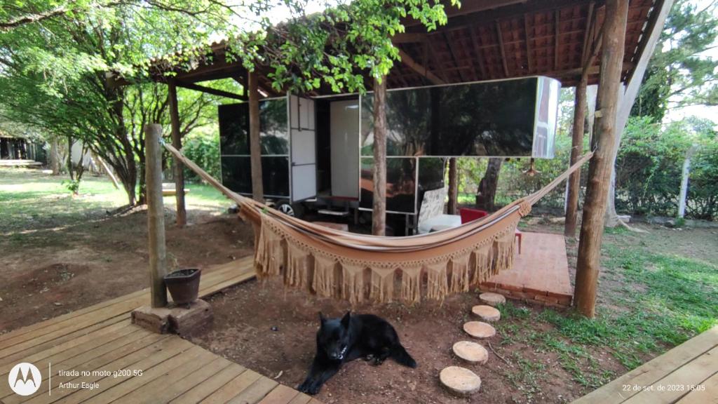 a black dog laying in a hammock on a deck at Trailer de Viagem no Rancho Santo Sol in Pederneiras