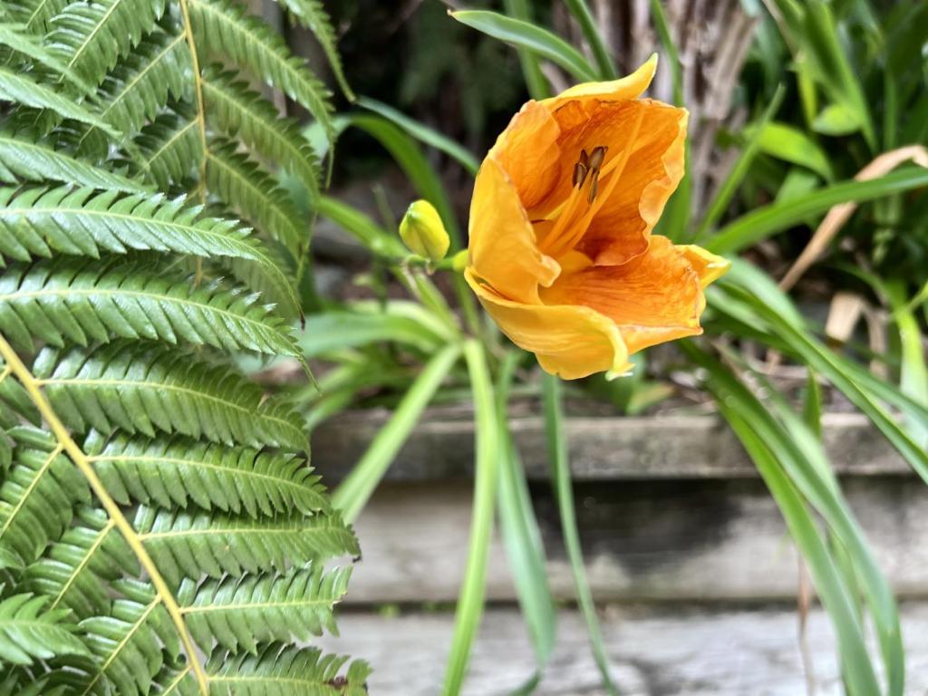 
Studio with Spa Bath
