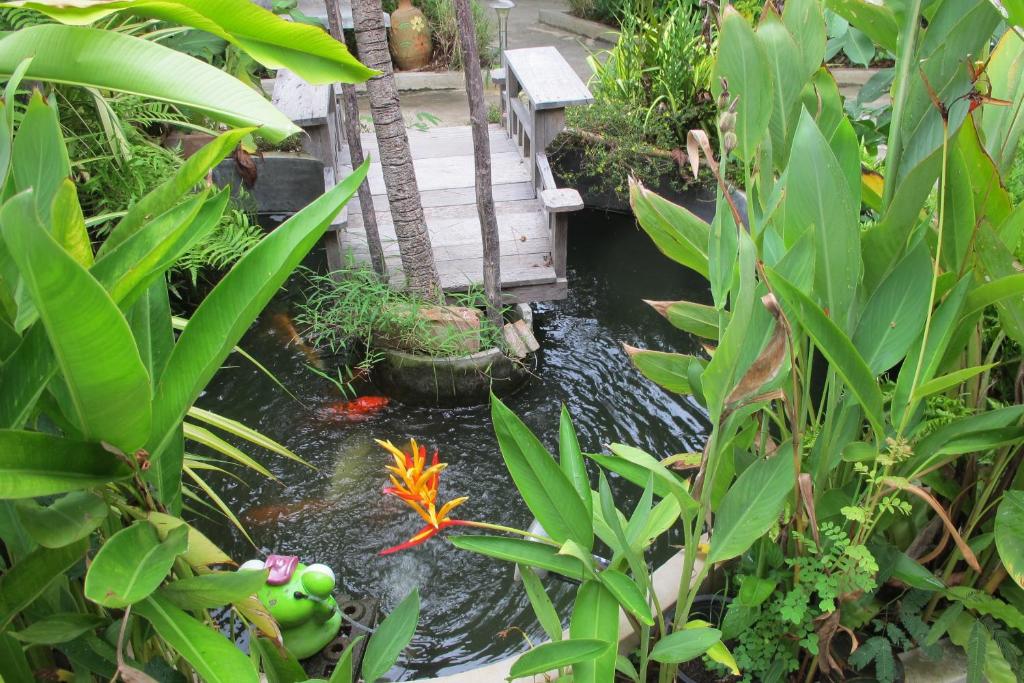 Q Zone Boutique House - 4