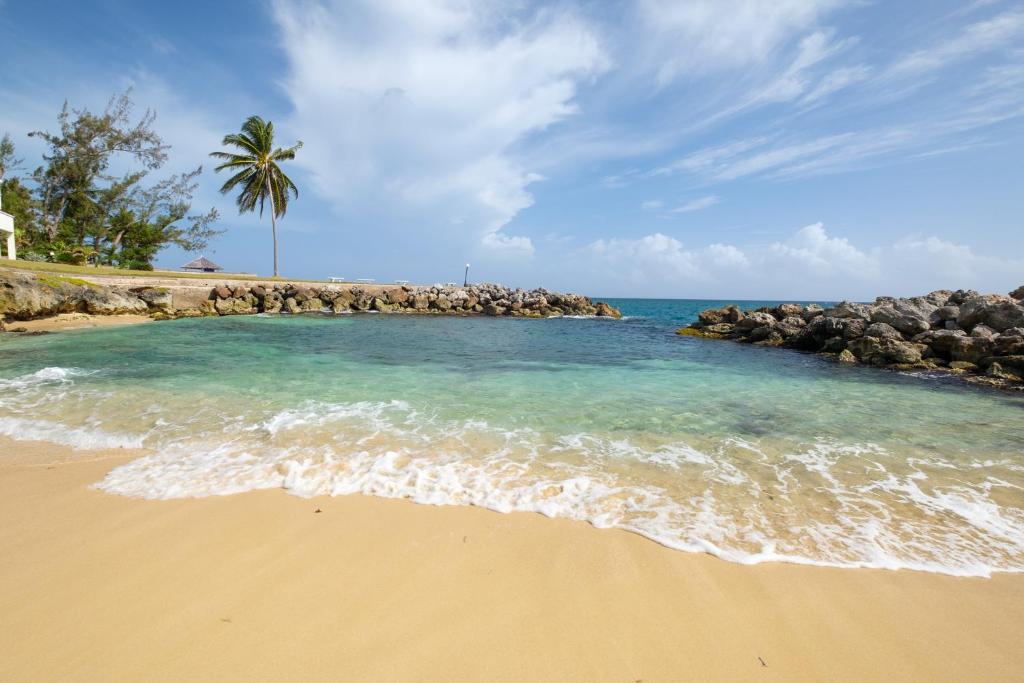 a beach with a palm tree and the ocean at Jamaica Time Driftwood at Sea Palms 3BR 3BA Condo in Ocho Rios with Pool and Beach Front with Views ONLY 10 Mins from Ochi Intl Airport Direct flight from Miami in St Mary