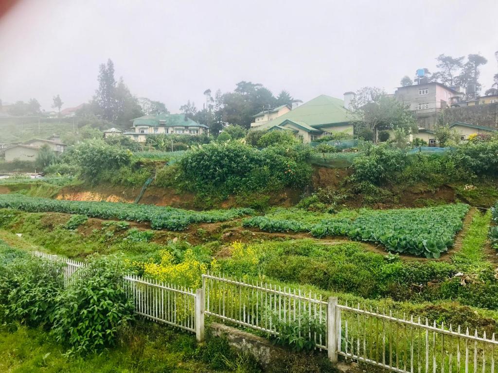 Queensland Hotel - 12