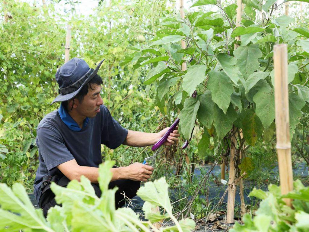 Hosté ubytování NIPPONIA 田原本 マルト醤油