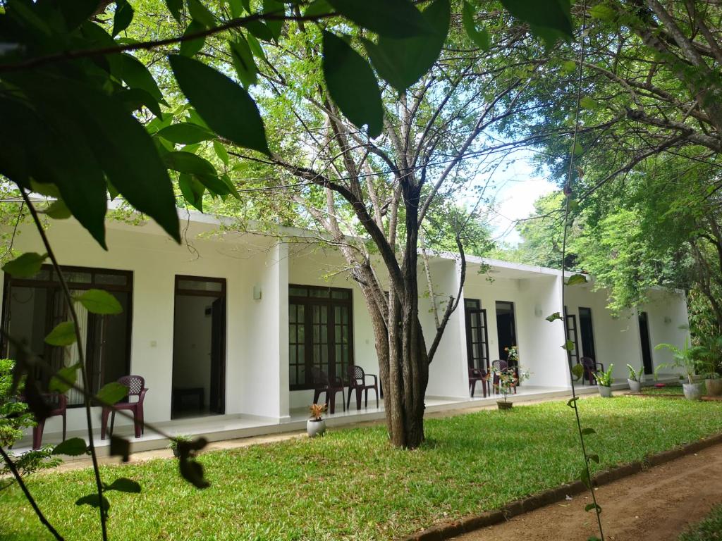 Blick auf die Vorderseite des Hauses in der Unterkunft Hotel Bird Paradise in Sigiriya