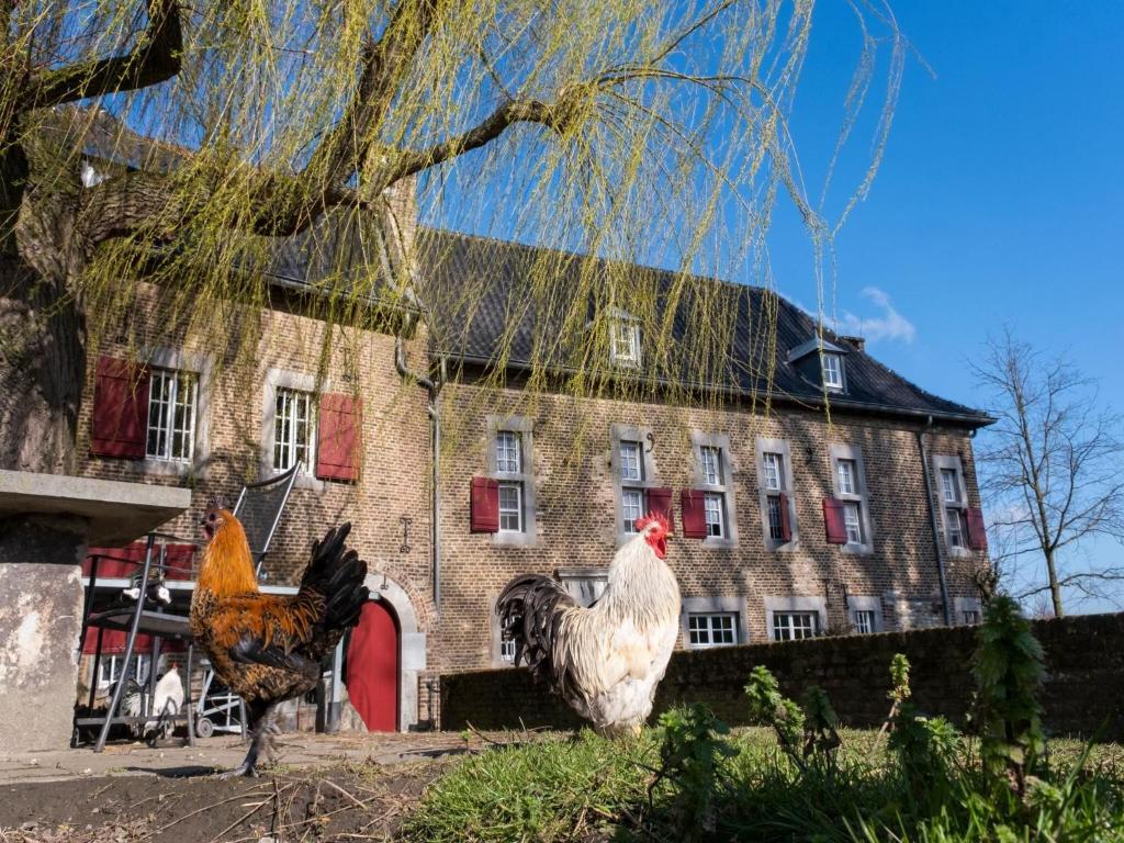 two chickens standing in front of a building at Traditional Apartment in Mesch with Terrace in Withuis