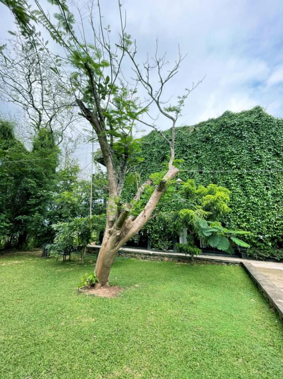 Paesaggio naturale nelle vicinanze del bed & breakfast
