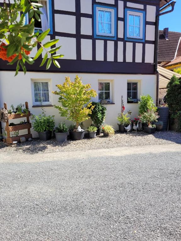 ein Haus mit Topfpflanzen davor in der Unterkunft Ferienwohnung Itzgrundruhe in Untermerzbach