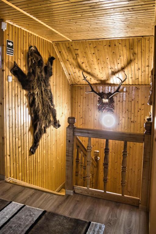 Imagine din galeria proprietății Casa Pojorâta în Pojorâta
