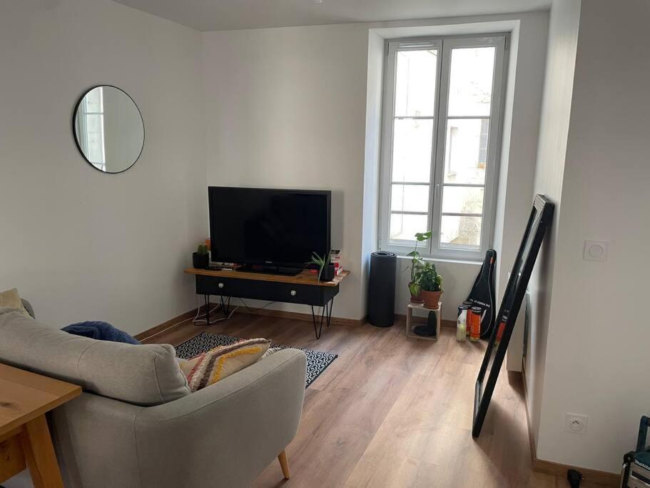 sala de estar con sofá y TV en Appartement au cœur de Tonnerre en Tonnerre