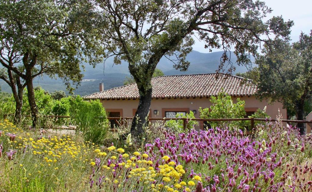 a garden with flowers in front of a house at Casa Rural La Joyona in Los Navalucillos