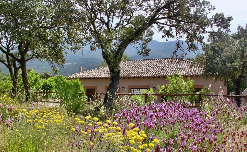 un jardín con flores frente a una casa en Casa Rural La Joyona, en Los Navalucillos
