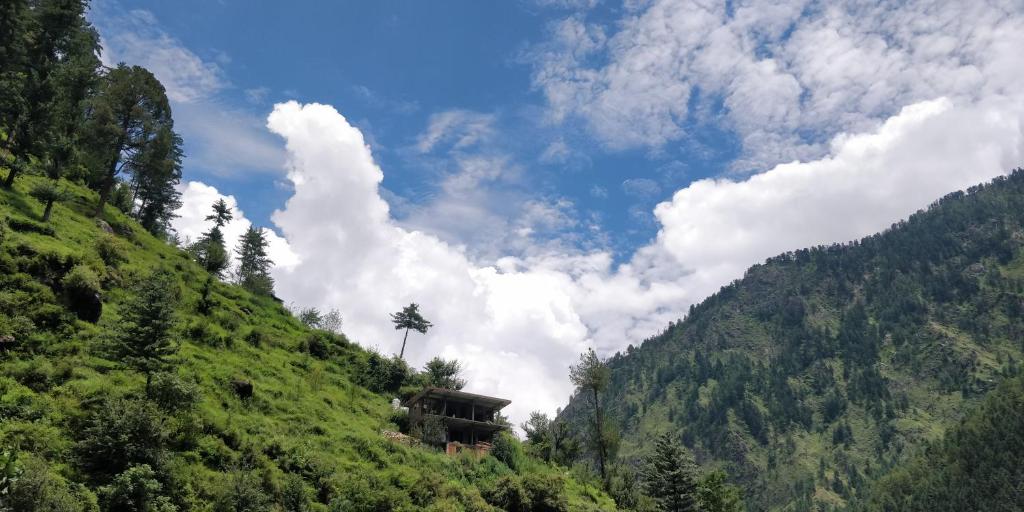 a house on a hill with a palm tree on it at Pineview Hostel and Cafe in Kasol