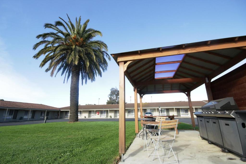 een patio met een grill en een palmboom bij Golden Palms Motel in Geelong