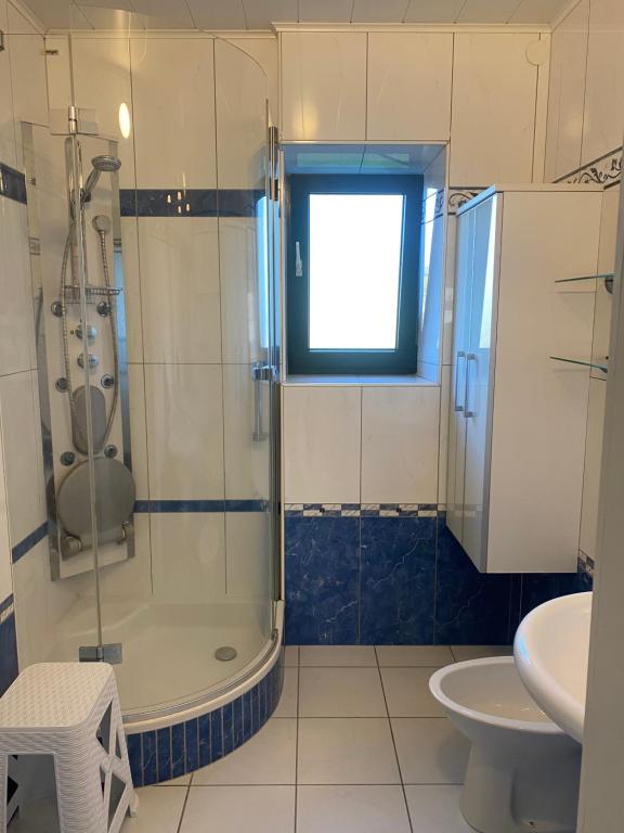 a bathroom with a shower and a toilet and a sink at hello. DIE FERIENWOHNUNG in Arbesbach