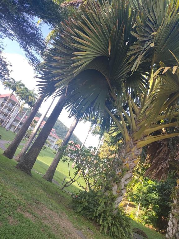 Zahrada ubytování Appartement 2 à 6 personnes dans un magnifique complexe de Vacances à Sainte-Luce