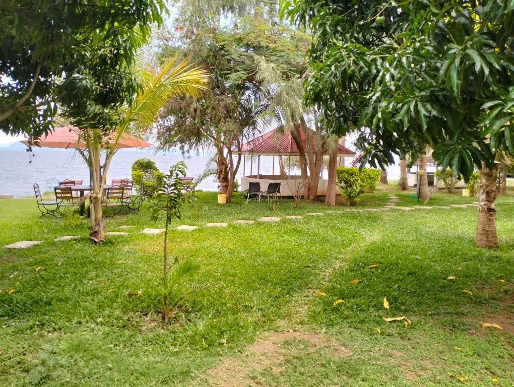 a house in the grass with a table and trees at BIMOSS BEACH RESORT in Mbita