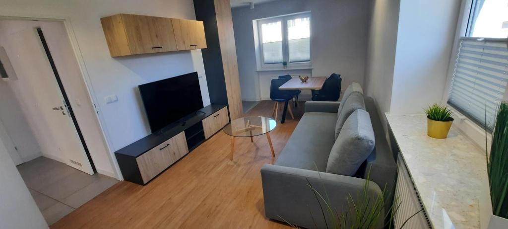 a living room with a couch and a flat screen tv at Apartamenty Sportowe AWF in Katowice
