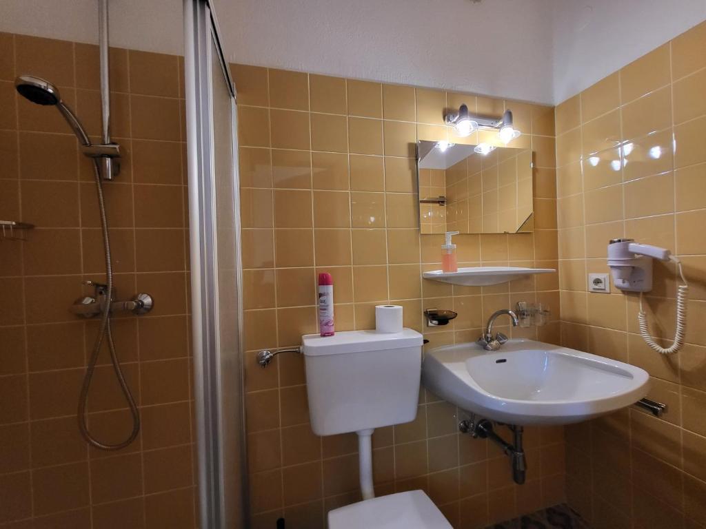 Koupelna v ubytování Pension Terra