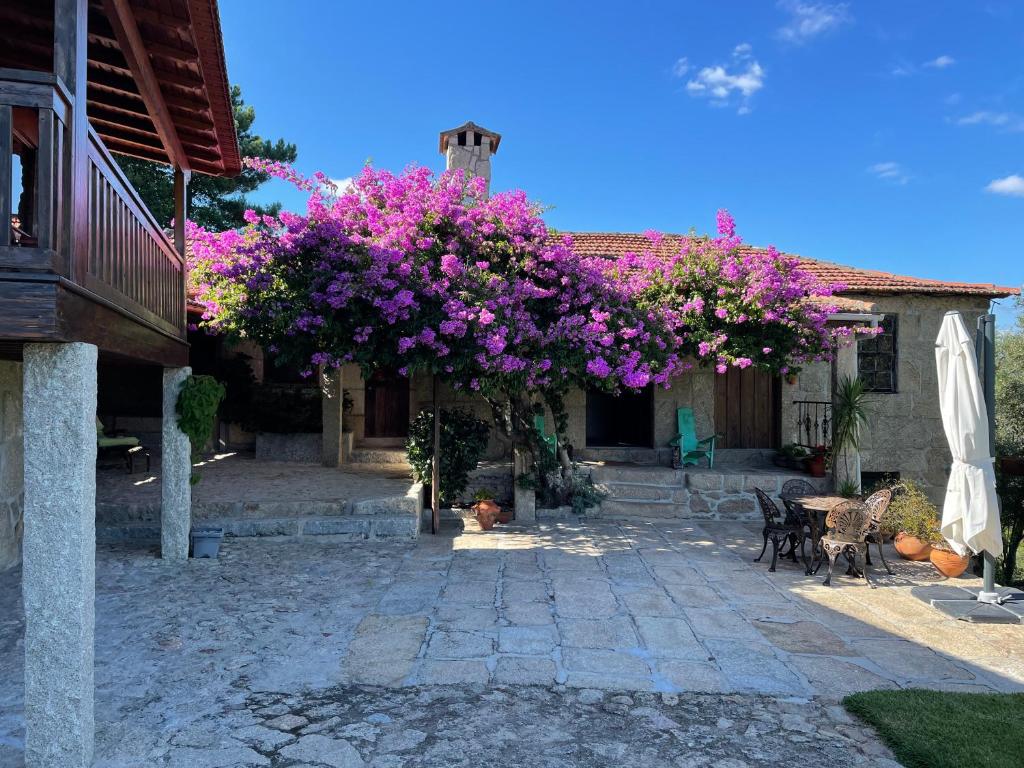 a house with a tree with purple flowers on it at Quinta de Argens in Cinfães