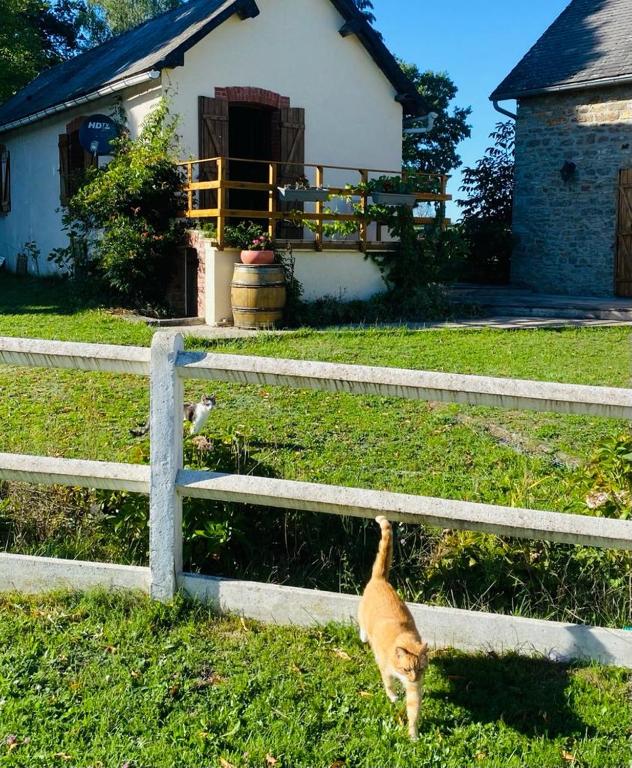 Domácí mazlíčci ubytovaní s hosty v ubytování Le Chêne d’Or