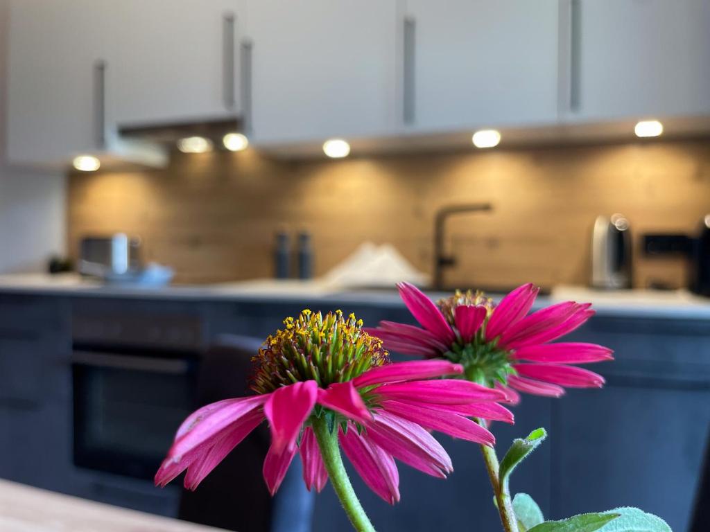 Kuchyň nebo kuchyňský kout v ubytování Kaunergrat Appartement