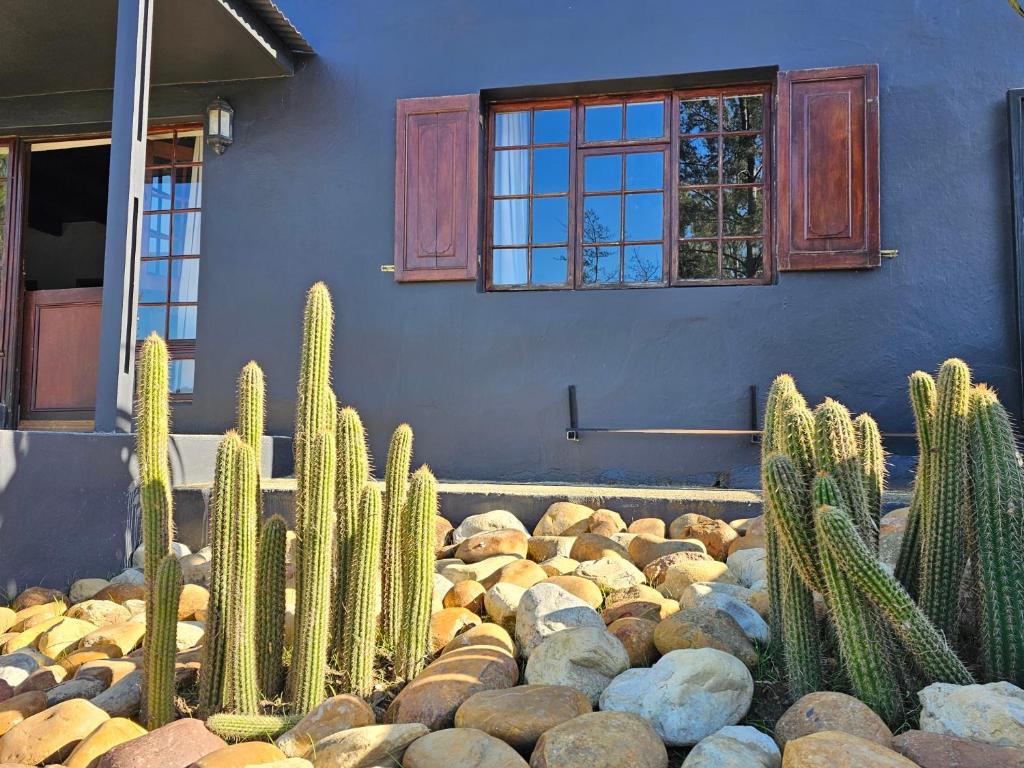 a bunch of cactus in front of a building at The Retreat Swellendam in Swellendam