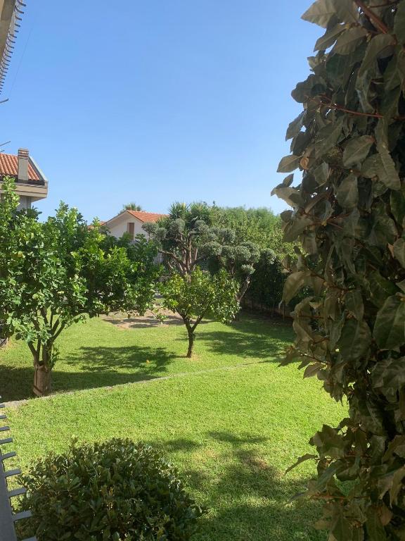 podwórko z zieloną trawą i drzewami oraz dom w obiekcie Etna holiday w mieście Zafferana Etnea