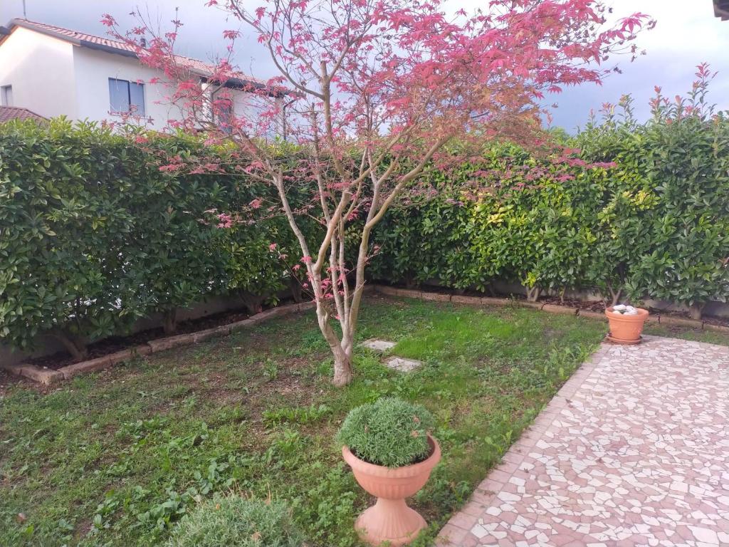 Zahrada ubytování La tua casa meravigliosa con giardino