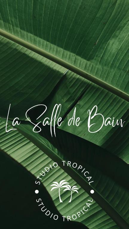 Fotografie z fotogalerie ubytování Studio Tropical avec vue mer dans une résidence hôtelière v destinaci Sainte-Luce