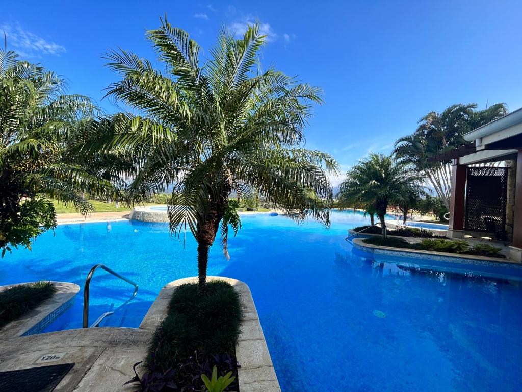 una palmera en medio de una piscina en CR MARIPOSA RENTALS Cozy Retreat with Pool,Tennis,Gym,Free WiFi, en Santa Ana