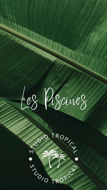 Fotografie z fotogalerie ubytování Studio Tropical avec vue mer dans une résidence hôtelière v destinaci Sainte-Luce