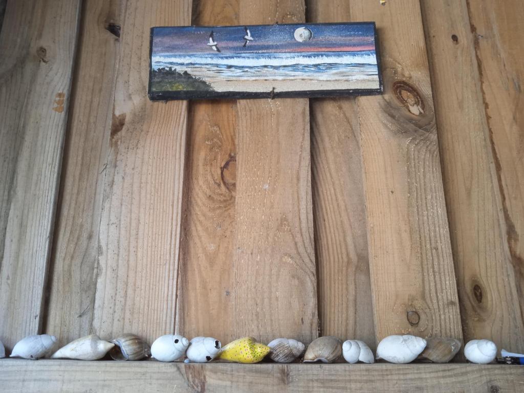 a painting on a wooden wall with shells on a shelf at Vida Playera in Punta Del Diablo