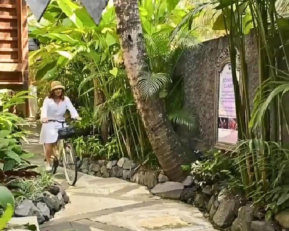 Zahrada ubytování Menzel Ubud