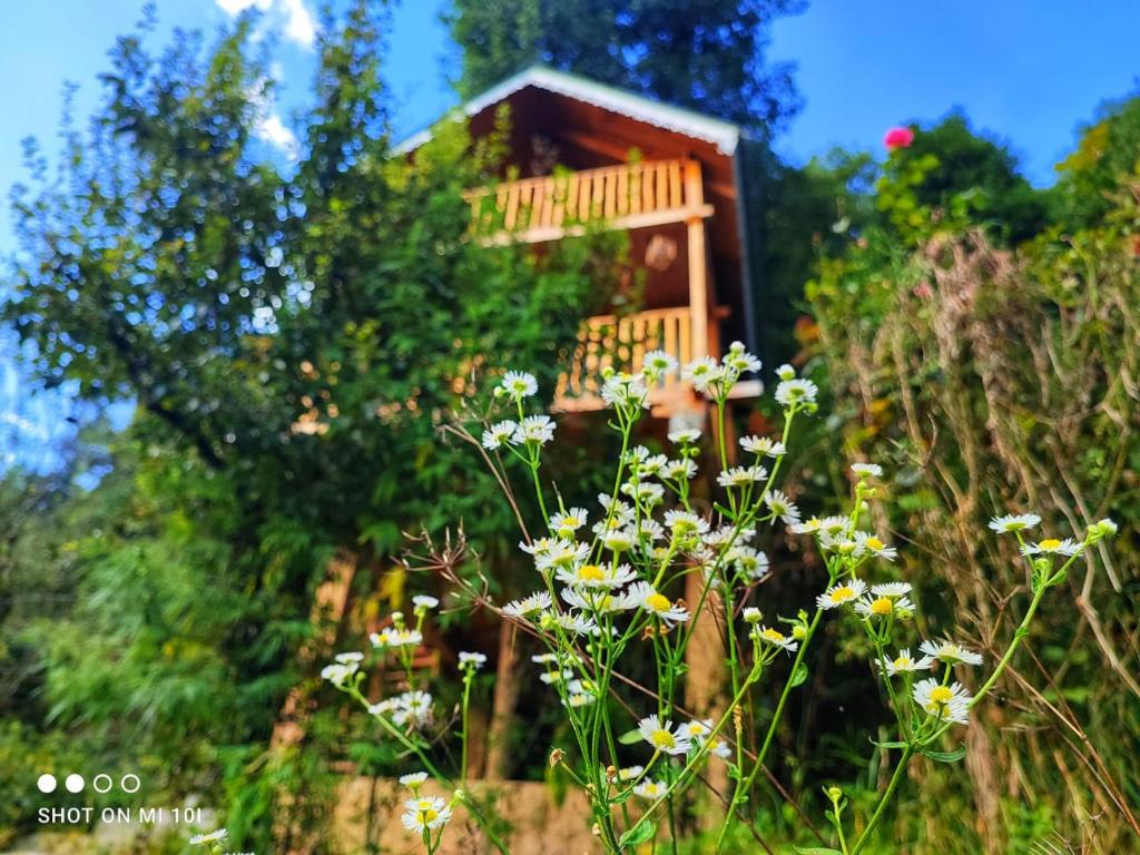 Zahrada ubytování The Tree Top Treehouse Jibhi