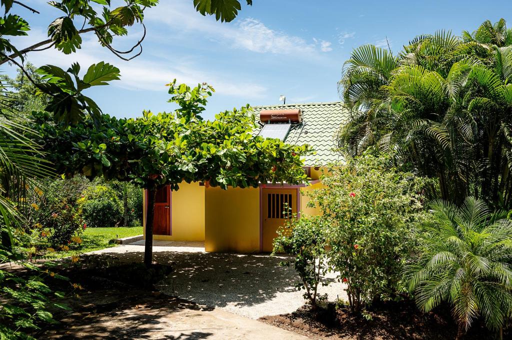 Zahrada ubytování Casa Laureles
