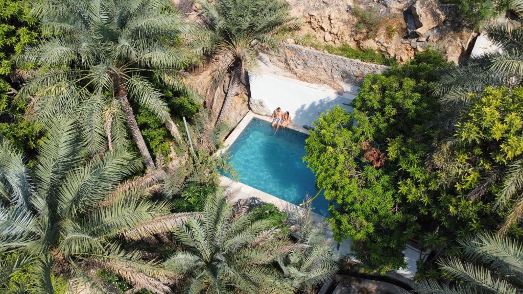 an aerial view of a swimming pool with palm trees at Nomad inn Tiwi in Ḩillat al Ḩişn