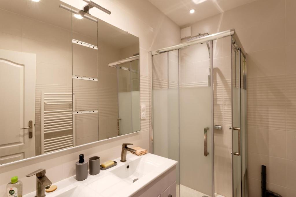 une salle de bain avec un lavabo, une douche et un miroir dans l'établissement L'Hibiscus Rouge, à Brest