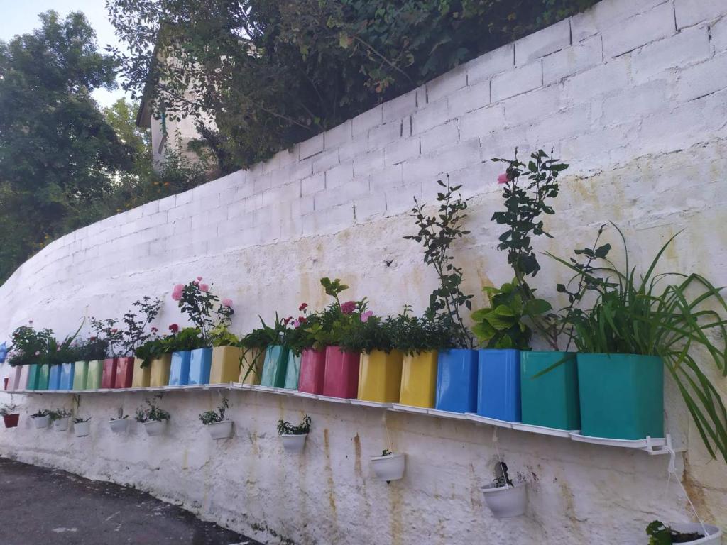 a wall with colorful pots of plants on it at Dora's Home in Pramanta